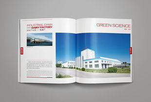 凝練品牌精髓，彰顯卓越風范——洛娃集團畫冊整合設計與企業形象策劃